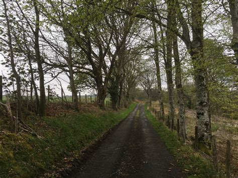 Minor Road Towards Drumloist Steven Brown Geograph Britain And Ireland