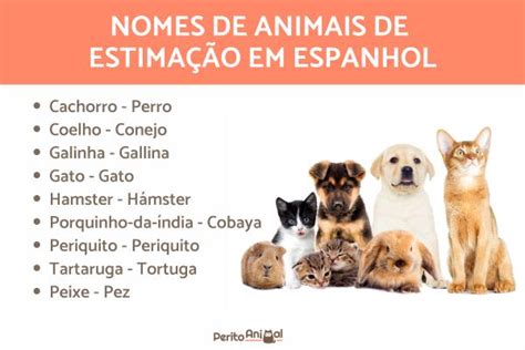 160 Nomes De Animais Em Espanhol De A A Z