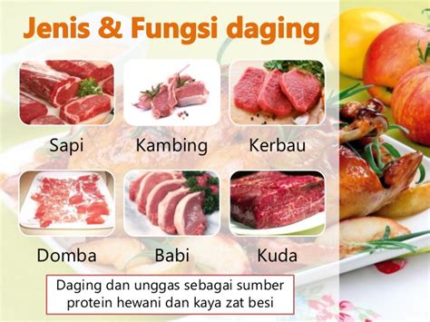 Pengolahan Ix Materi Unsur Gizi Dan Manfaat Daging Ikan Telur