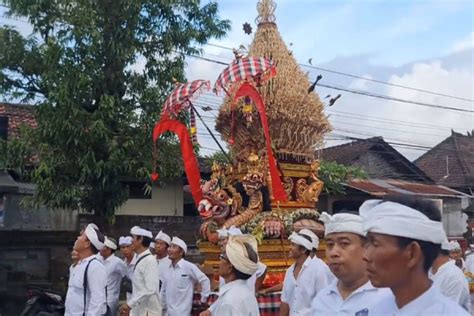 Makna Tradisi Mapeed Sate Tungguh Di Batubulan Bali