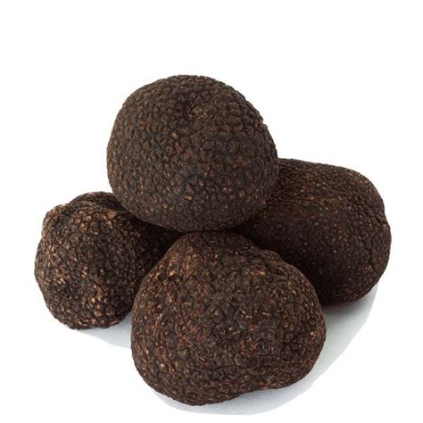 Fresh Summer Truffles Tuber Aestivum Vitt Klassik Premium