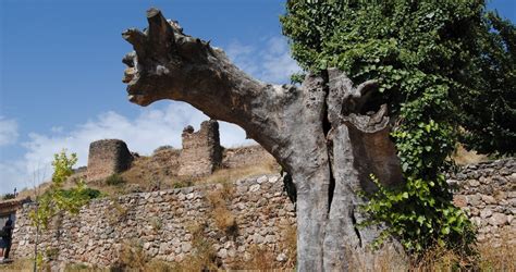 Alrededores De Castillo De Ri Par Viejo Tclm