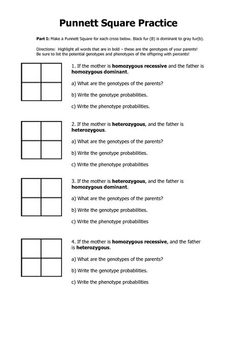 Dihybrid Punnett Square Practice Worksheet