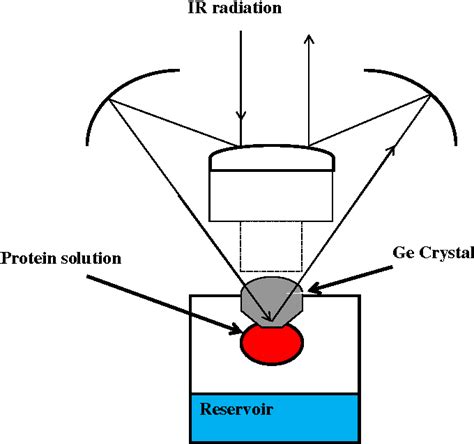 Figure 10 from Recent applications of ATR FTIR spectroscopy and imaging ...