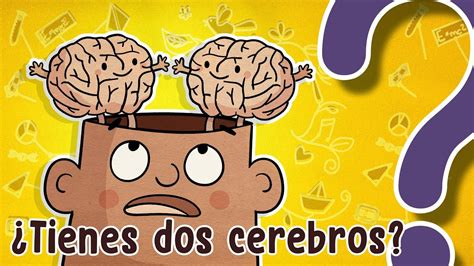 Tienes Dos Cerebros YouTube