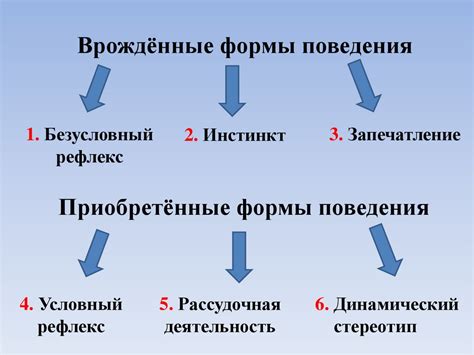 Врождённые и приобретённые программы поведения - презентация онлайн