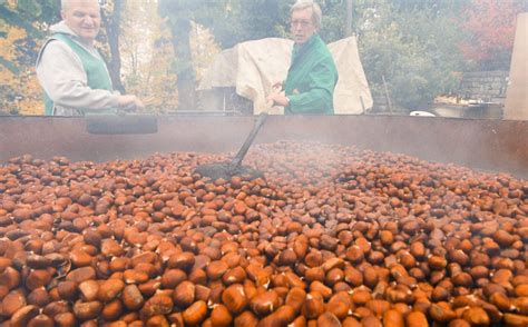 Visit Emilia Gli Eventi Enogastronomici Autunnali Tra Profumo Di