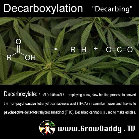 How to Decarboxylate Cannabis