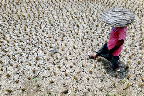 Siaga Kekeringan Di Lombok Timur Bank Dunia Beri Rp Miliar Jpnn