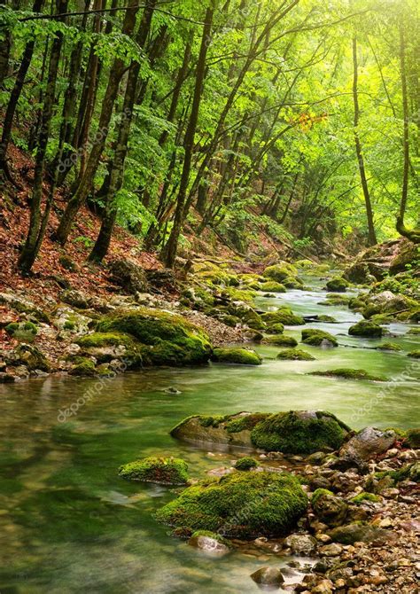 River Deep In Mountain Forest Stock Photo AFF Mountain Deep