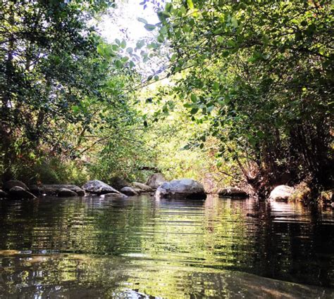 Ojai Hot Springs Ecotopia In California Read Before You Visit