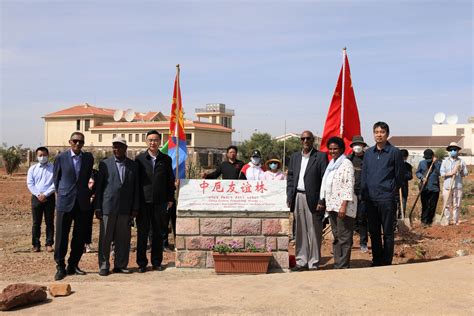 Chinese Embassy In Eritrea On Twitter Amb Cai Ge And Reps Of Chinese