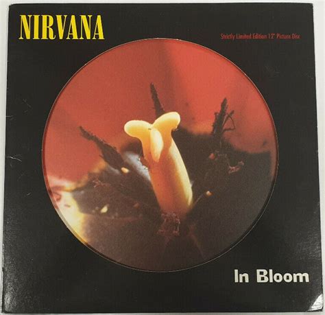 Nirvana - In Bloom (1992, Vinyl) | Discogs