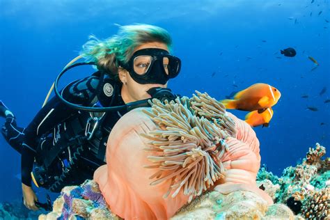 Underwater magic in the Maldives | The Maldives Travel