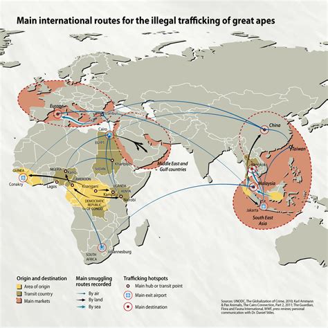 Main International Routes For The Illegal Trafficking Of G Flickr