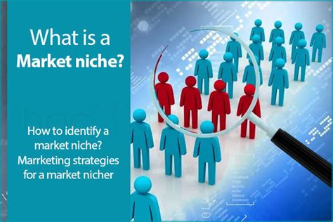 What Is A Market Niche How To Identify Niching Strategies