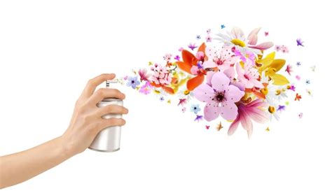 Localising Smells How Different Cultures Perceive Scents