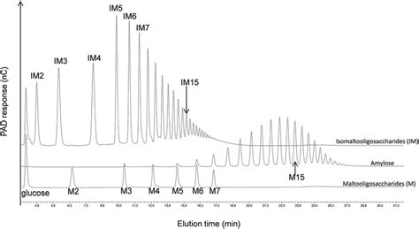 HPAEC PAD Chromatograms Showing The Difference In Retention Times