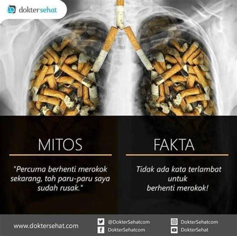 Mitos Dan Fakta Berhenti Merokok Atmago