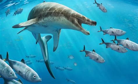 66 Million Year Old Nightmarish Sea Sea Lizard Fossil Unearthed In Morocco