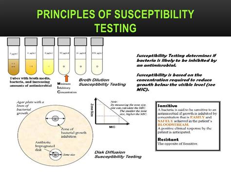 Rapid Antibiotic Susceptibility Test