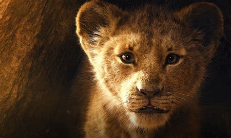 Le Roi Lion une première bande annonce du film vient de sortir