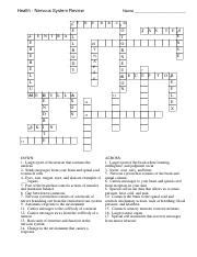 Kami Export Nervous System Crossword Worksheet 5 1 Pdf Health