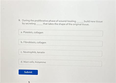 Solved During the proliferative phase of wound-healing, | Chegg.com