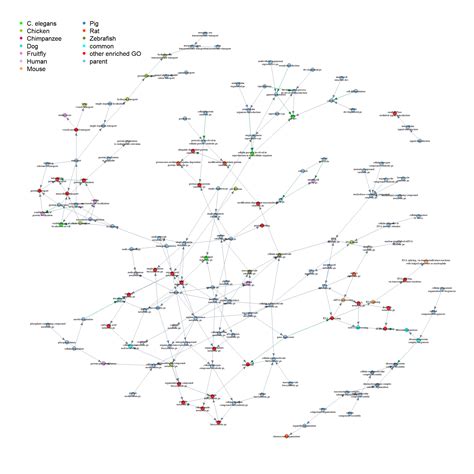 Gene homology Part 3 - Visualizing Gene Ontology of Conserved Genes