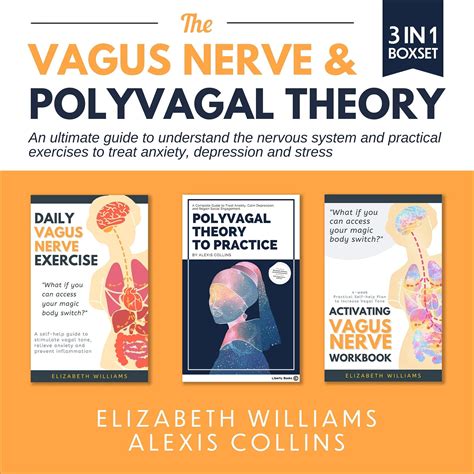 Buy The Vagus Nerve The Polyvagal Theory Books Collection An