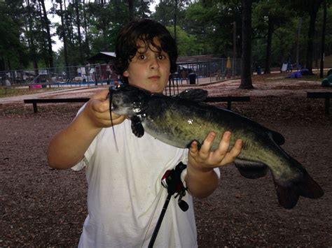 Another Big Catfish Caught At Land O Pines Campground Wtg Josh Big