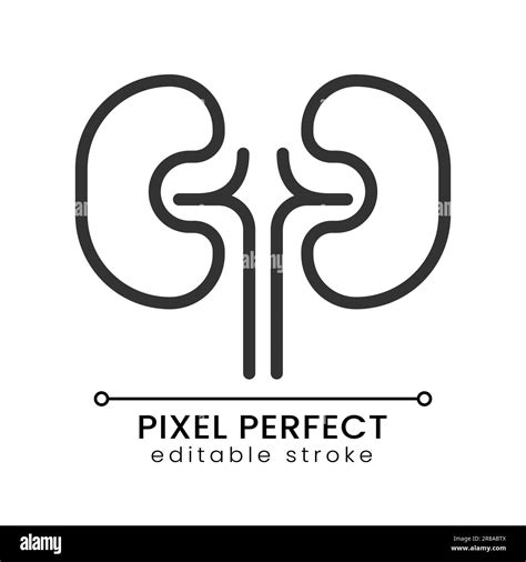 Kidneys Pixel Perfect Linear Icon Stock Vector Image And Art Alamy