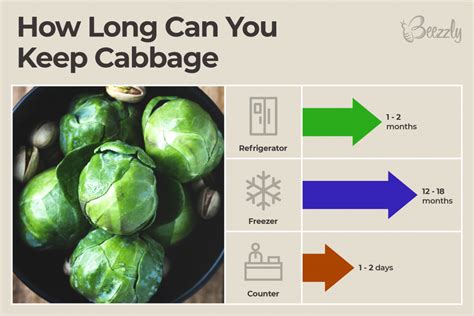 7 Ways How To Tell If Cabbage Is Bad Beezzly