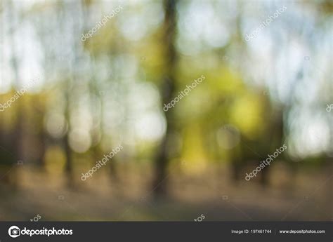 Blurry Nature Wallpaper Forest Bokeh Background Green Defocused Backdop ...