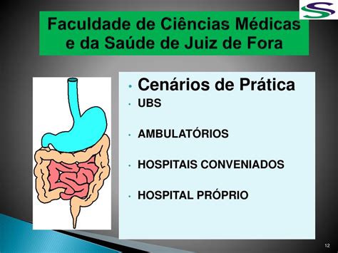 Ppt Faculdade De Ci Ncias M Dicas E Da Sa De De Juiz De Fora