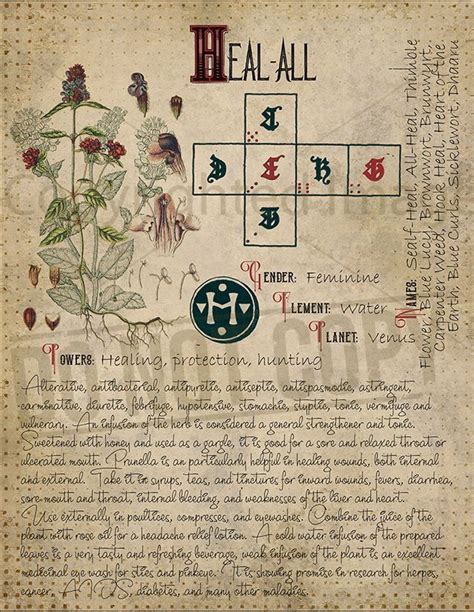 Pin By Kristine Dawn Atkins On Wicca Plants Book Of Shadows Magic