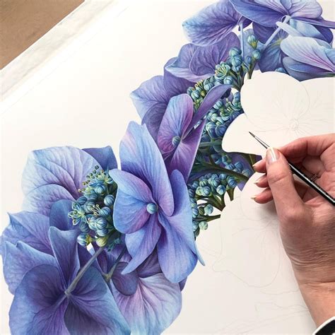 Ingrid Elias Botanical Art Instagram On Pinno The Original Watercolor