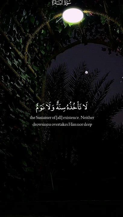 اللَّهُ لَا إِلَٰهَ إِلَّا هُوَ الْحَيُّ الْقَيومُ اية الكرسي عبد الباسط عبد الصمد سورة البقرة