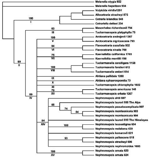 Likelihood Analysis Bootstrap Consensus Tree From 20 Replicates Based