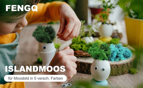 Amazon De Fengq Islandmoos Zum Basteln Moos Konserviert Konserviert