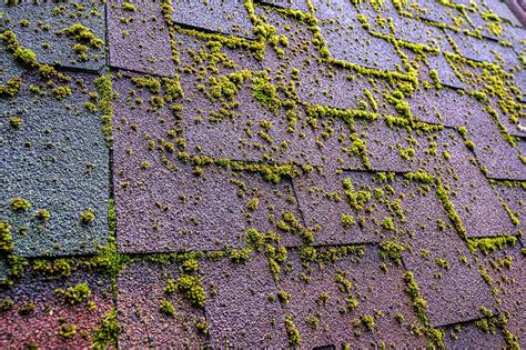 Hail Wind Storm Damage Roof Restoration In Iowa City Coralville Ia