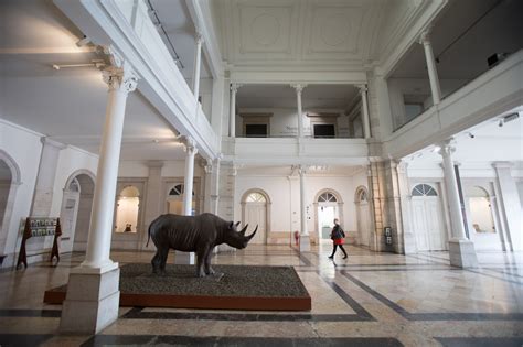 Visão O Museu Nacional de História Natural em Lisboa é como uma