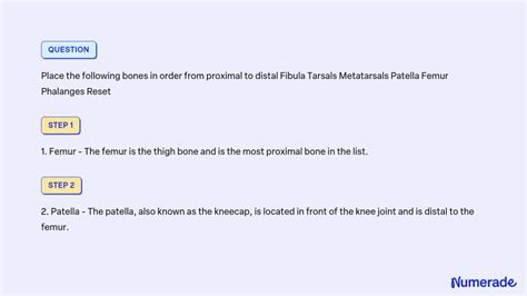 Solved Place The Following Bones In Order From Proximal To Distal