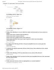 Print Chapter Autonomic Nervous System Flashcards Easy Notecards Pdf