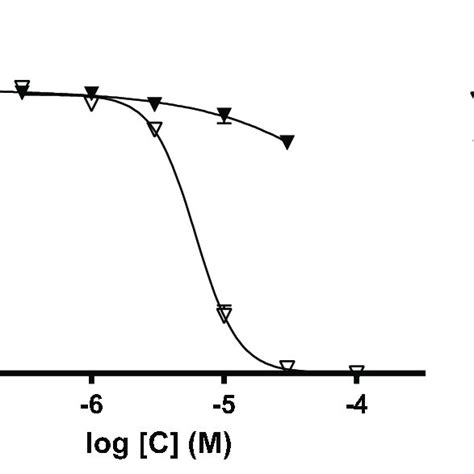 Concentration Response Curves Showing The Vasorelaxant Effects Of