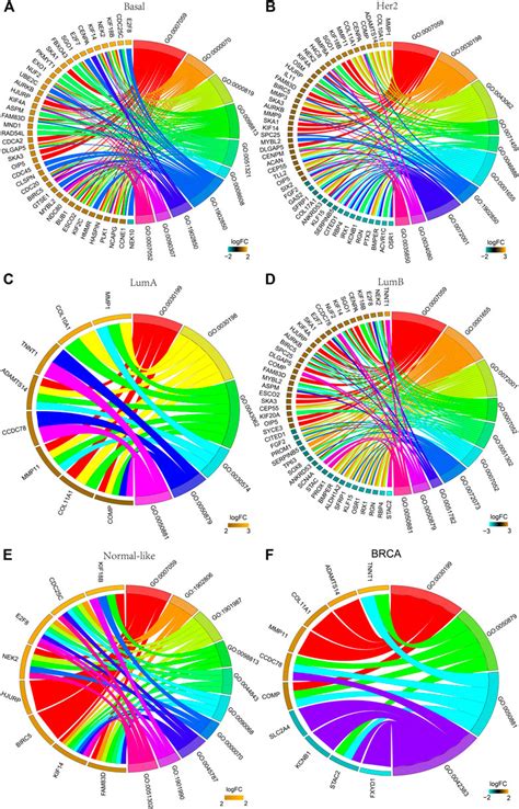 Frontiers Screening And Identification Of Key Common And Specific