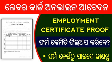 How To Fillup Labour Card Employement Certificate Proof Form Labour