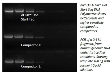 Highqu Hot Start Dna Polymerase Sensitive Pcr Amplification