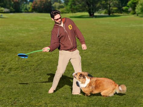 Fetchbee Frisbee für Hunde mit Wurfarm blau Hundeshop de