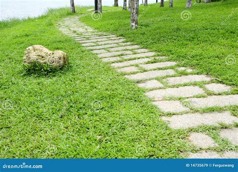 Road in garden stock image. Image of meditating, healthy - 14735679